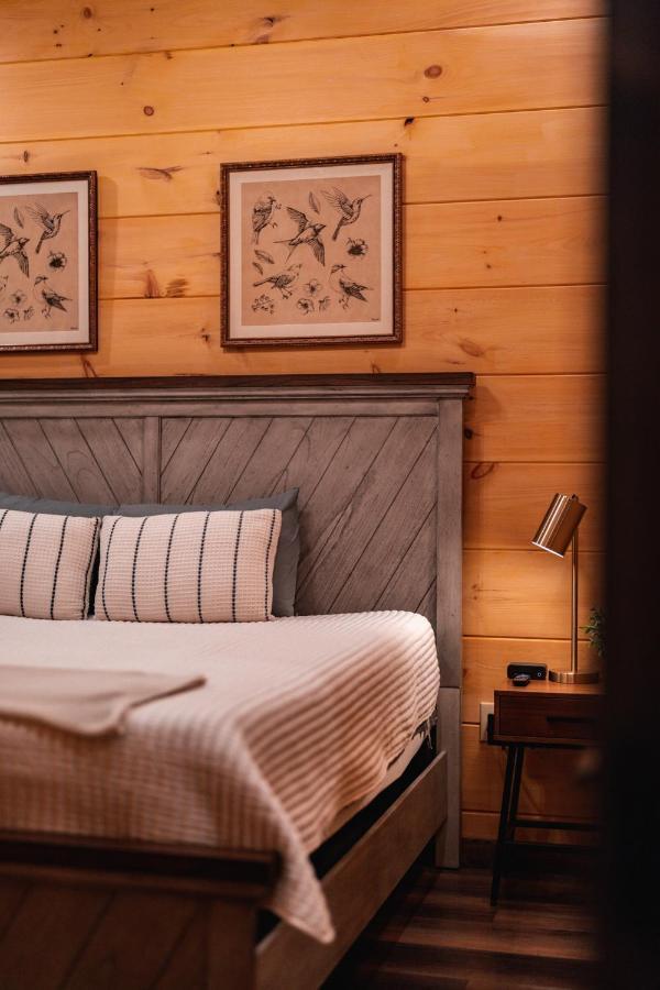 New Cozy Mountain Cabin Hot Tub Near Downtown Gatlinburg Exterior foto